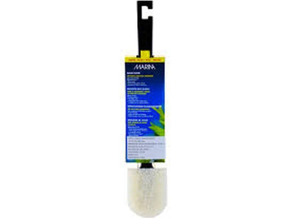 Marina Algae Scrub, Medium