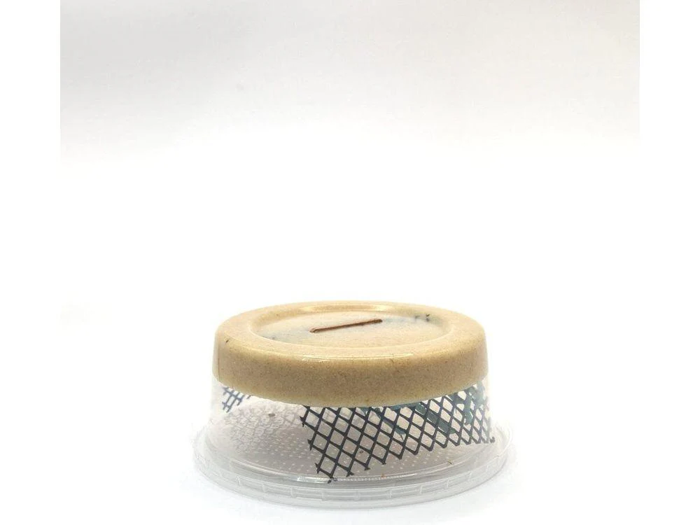 Medium Hornworms - Image 3