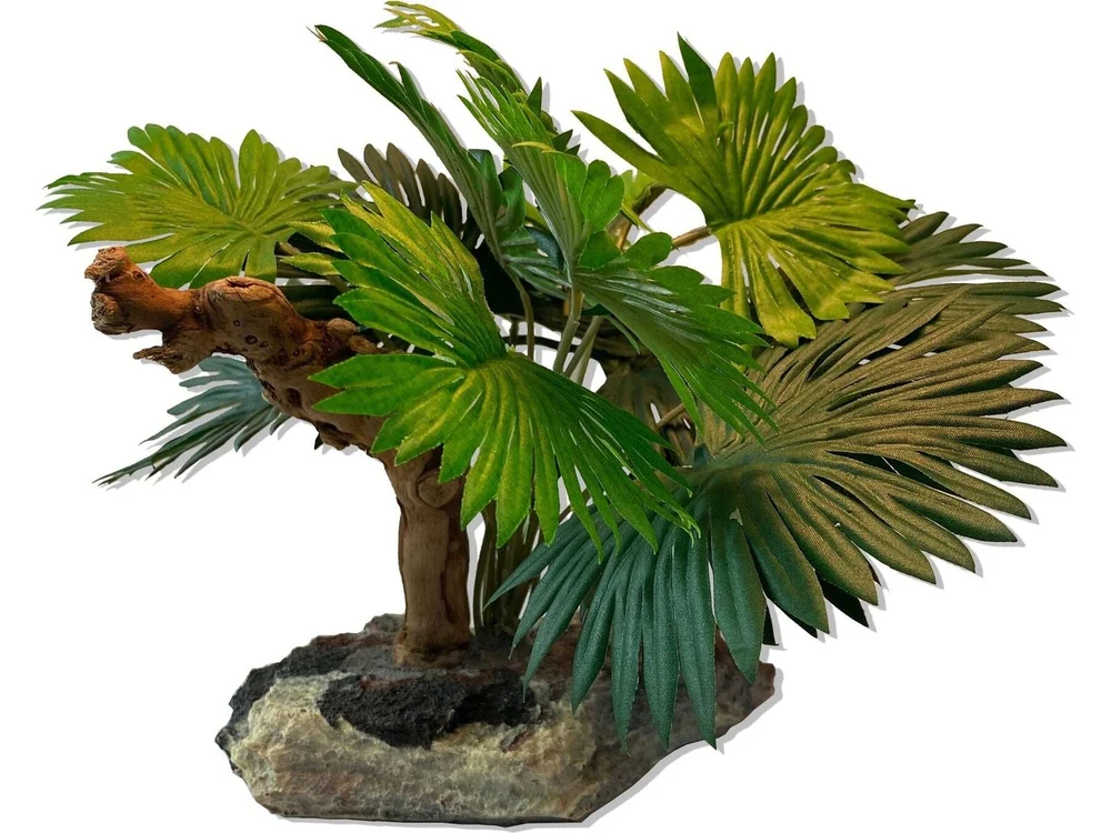 Magnaturals Mini Fan Palm w/Driftwood