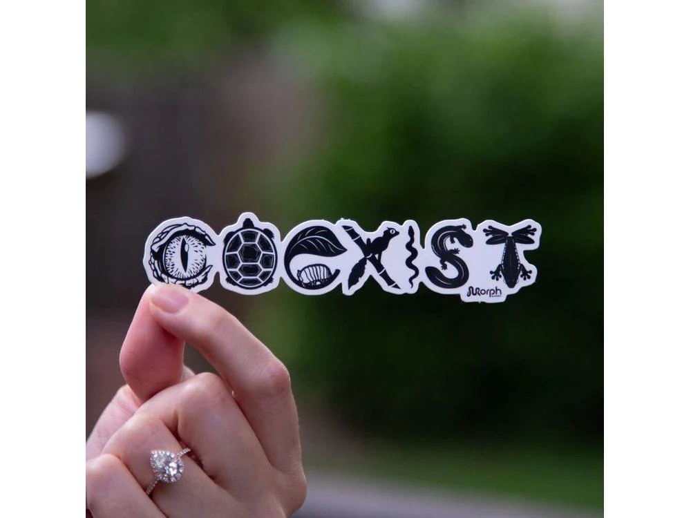 Coexist Sticker (B&W) - Image 2