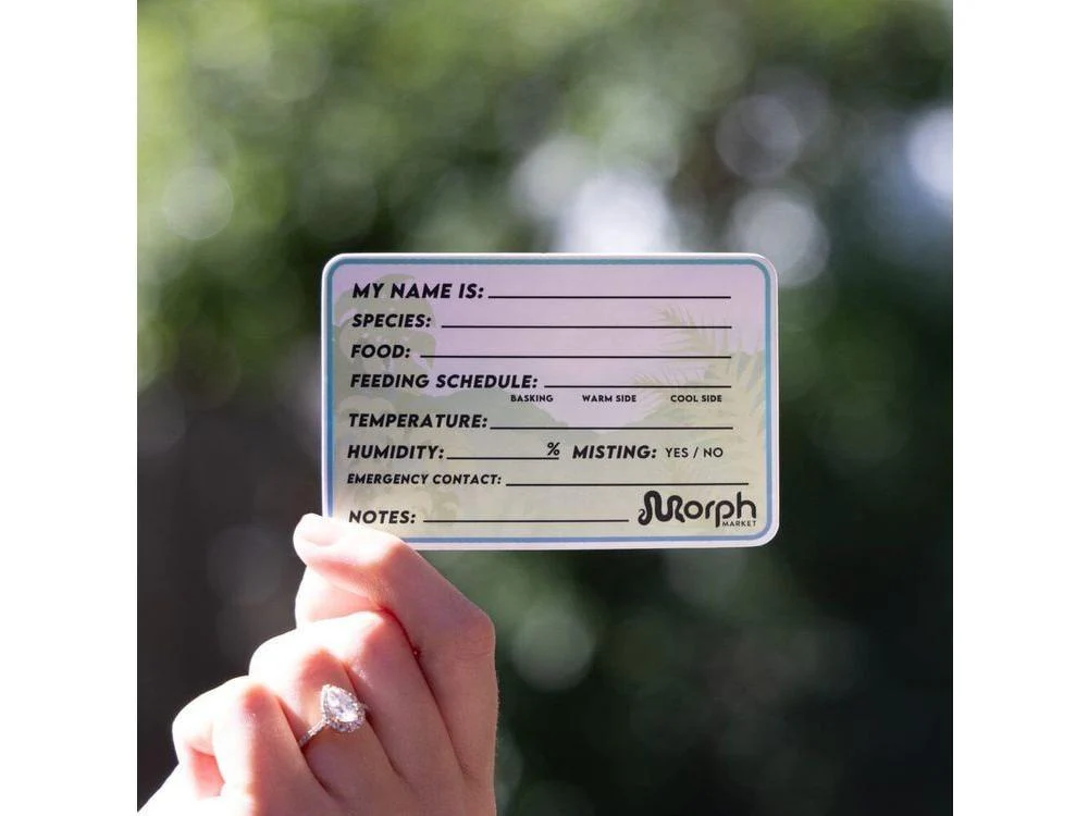 My Name is (Forest) Sticker - Image 2