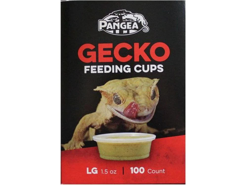 Pangea Large Gecko Feeding Cups - 100ct