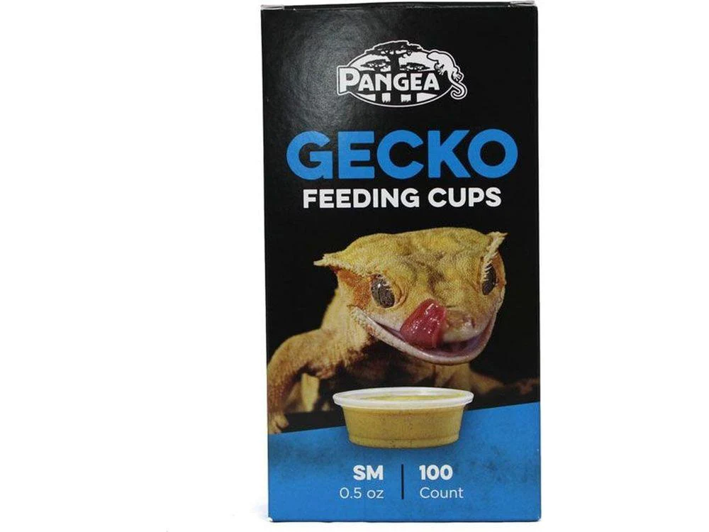 Pangea Small Gecko Feeding Cups - 100ct