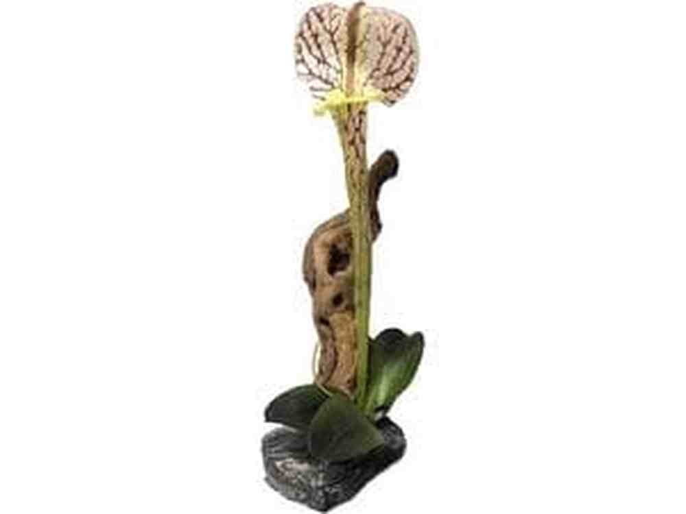 Magnaturals Pitcher Plant with Driftwood