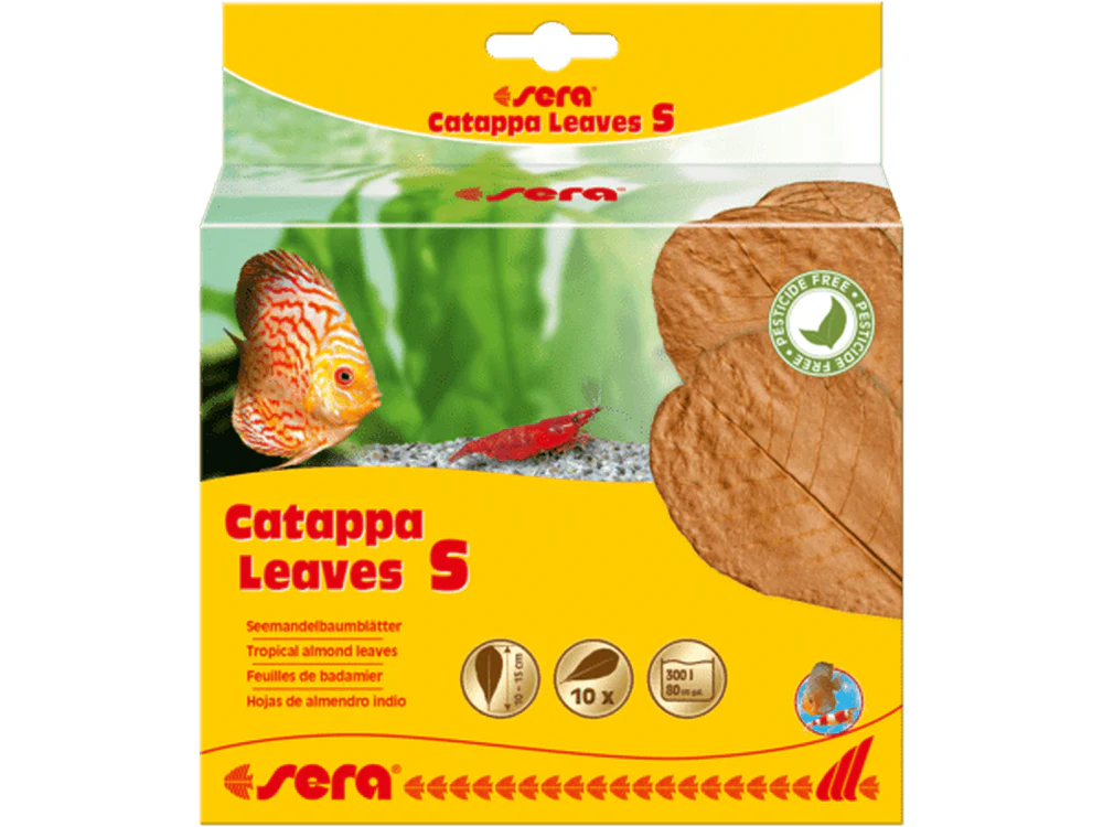 Sera Catappa Leaves, Small