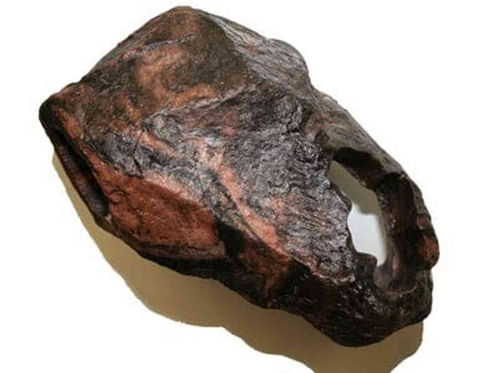 Magnaturals Sm Hideaway Earth
