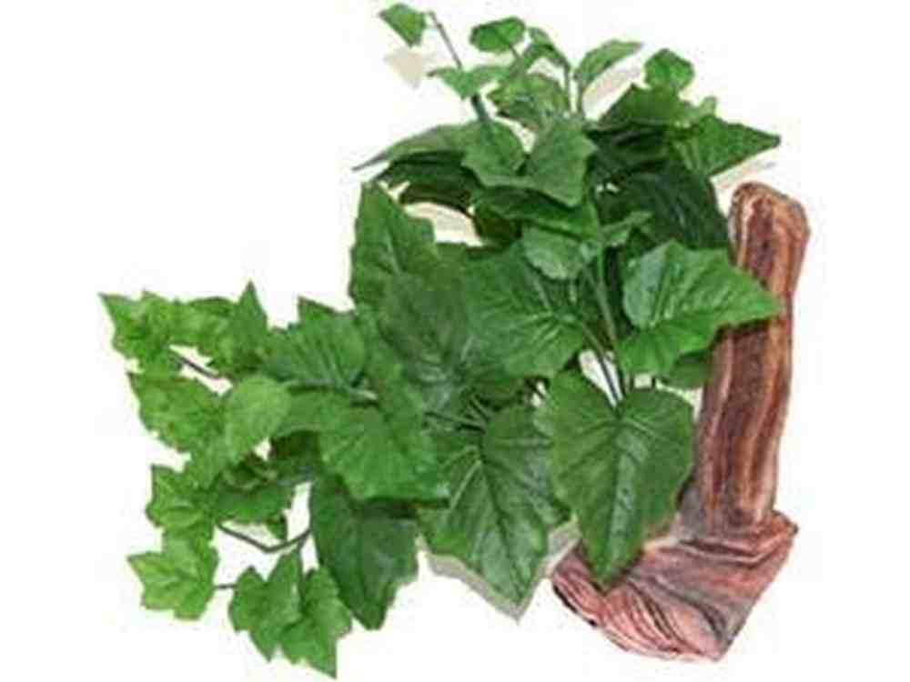 Magnaturals Tropical Plant w/Driftwood