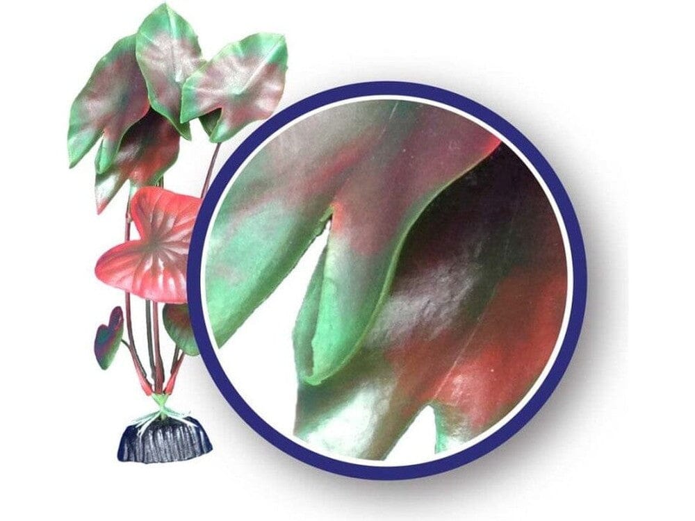 Weco Products Freshwater Series Tiger Lotus Aquarium Plant Red, 1ea/12 in - Image 2