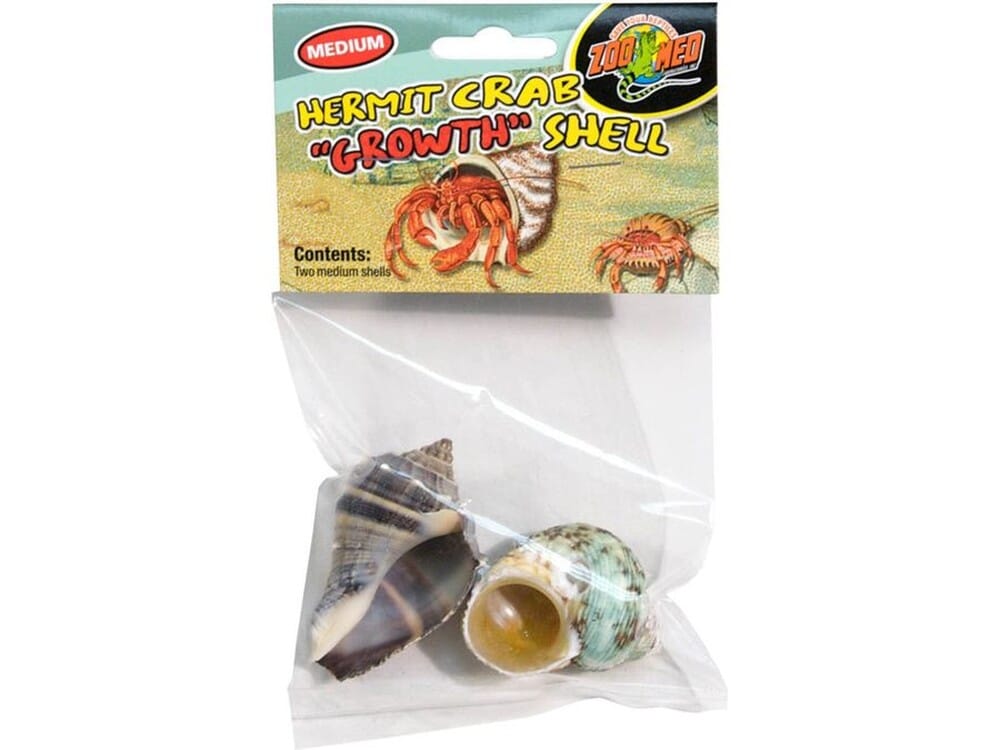 Zoo Med Hermit Crab Growth Shell Assorted, 1ea/MD, 2 pk - Image 2