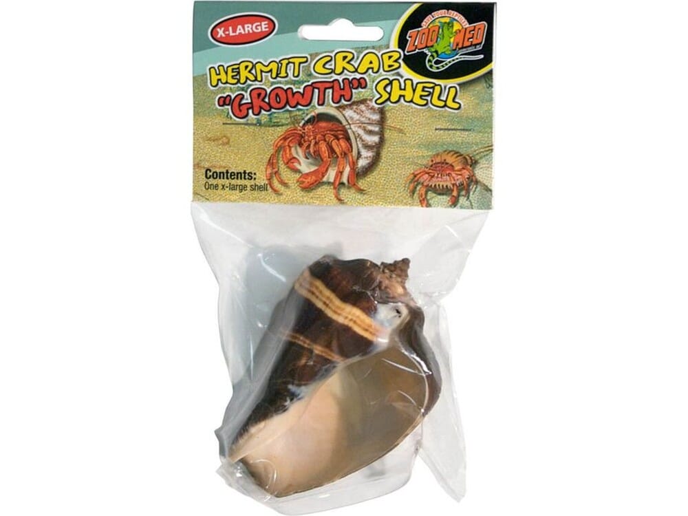 Zoo Med Hermit Crab Growth Shell Assorted, 1ea/XL, 1 pk - Image 2