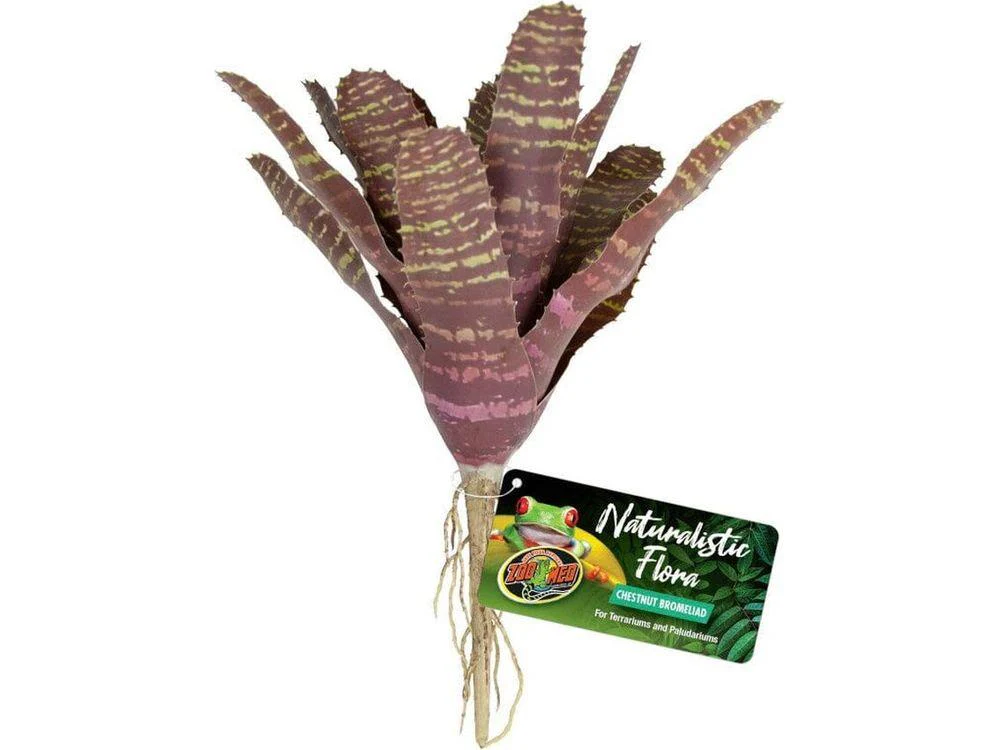 Zoo Med Naturalistic Flora Chestnut Bromeliad Terrarium Plant Purple, Tan, 1ea